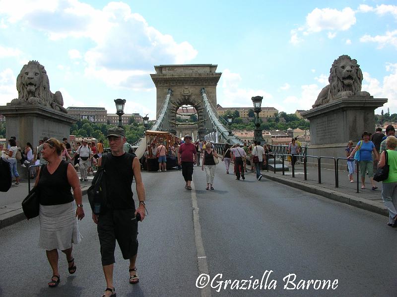 particolare del ponte delle catene.JPG